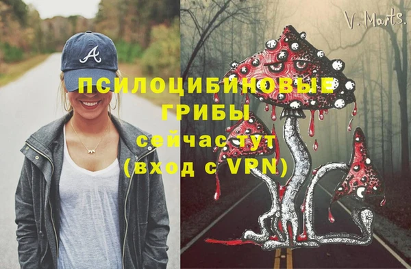 ПСИЛОЦИБИНОВЫЕ ГРИБЫ Алексеевка